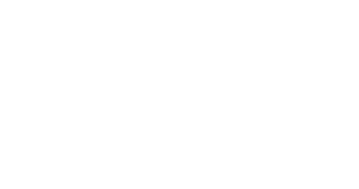 ION Logo